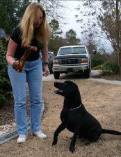 Becky with BD (Black Dog)
Statesboro, Georgia